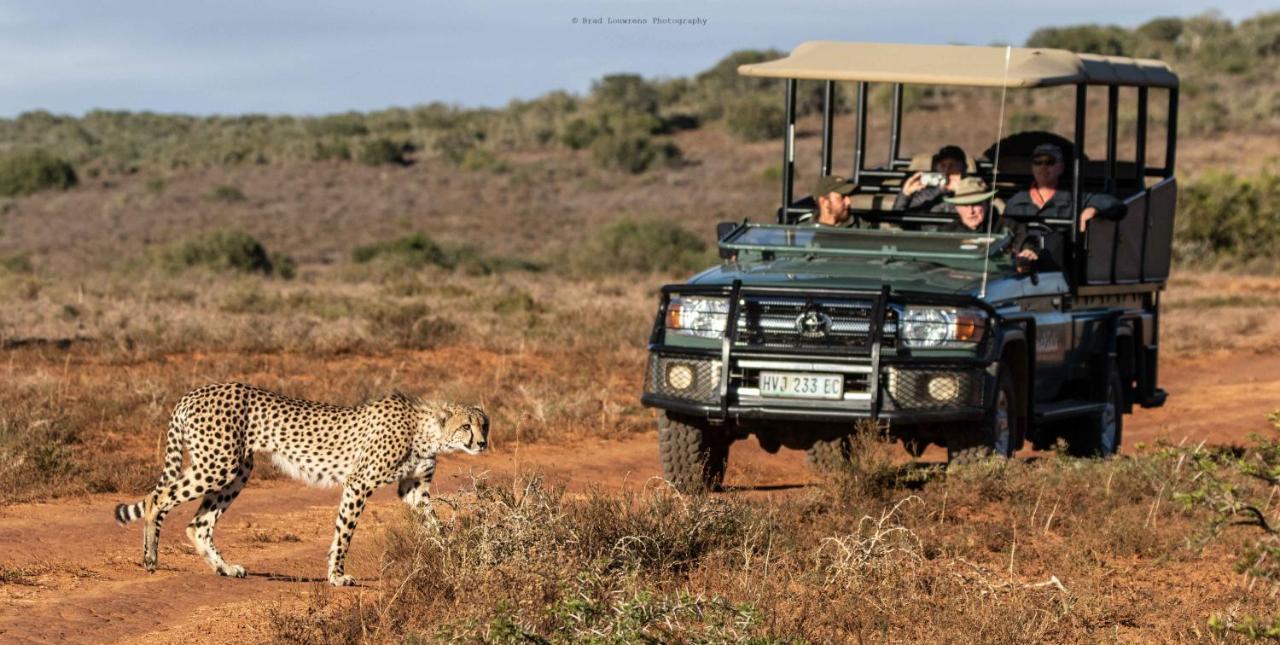 Woodbury Tented Camp - שמורת הטבע אמקאלה מראה חיצוני תמונה