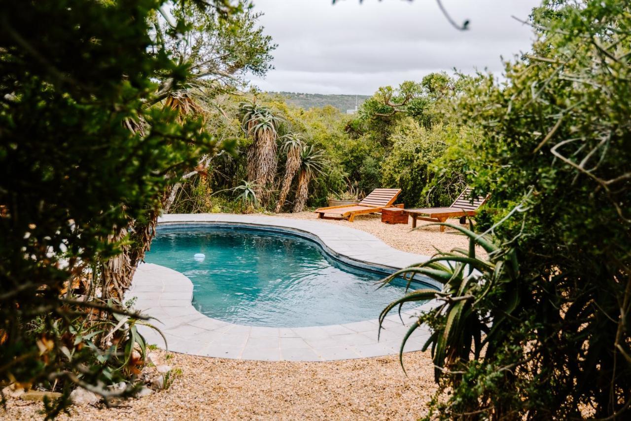 Woodbury Tented Camp - שמורת הטבע אמקאלה מראה חיצוני תמונה