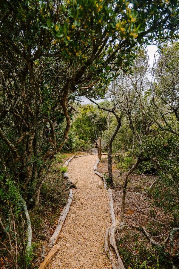 Woodbury Tented Camp - שמורת הטבע אמקאלה מראה חיצוני תמונה