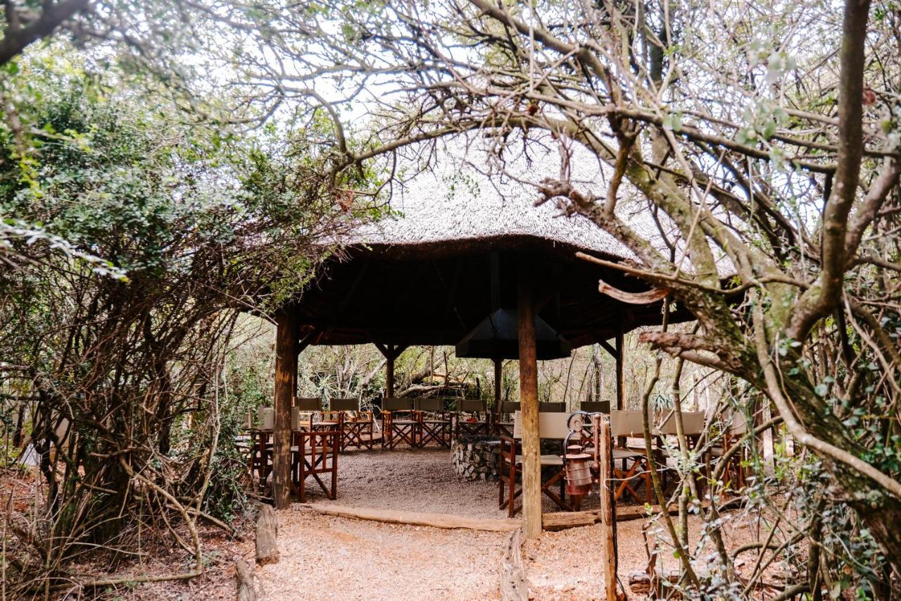 Woodbury Tented Camp - שמורת הטבע אמקאלה מראה חיצוני תמונה