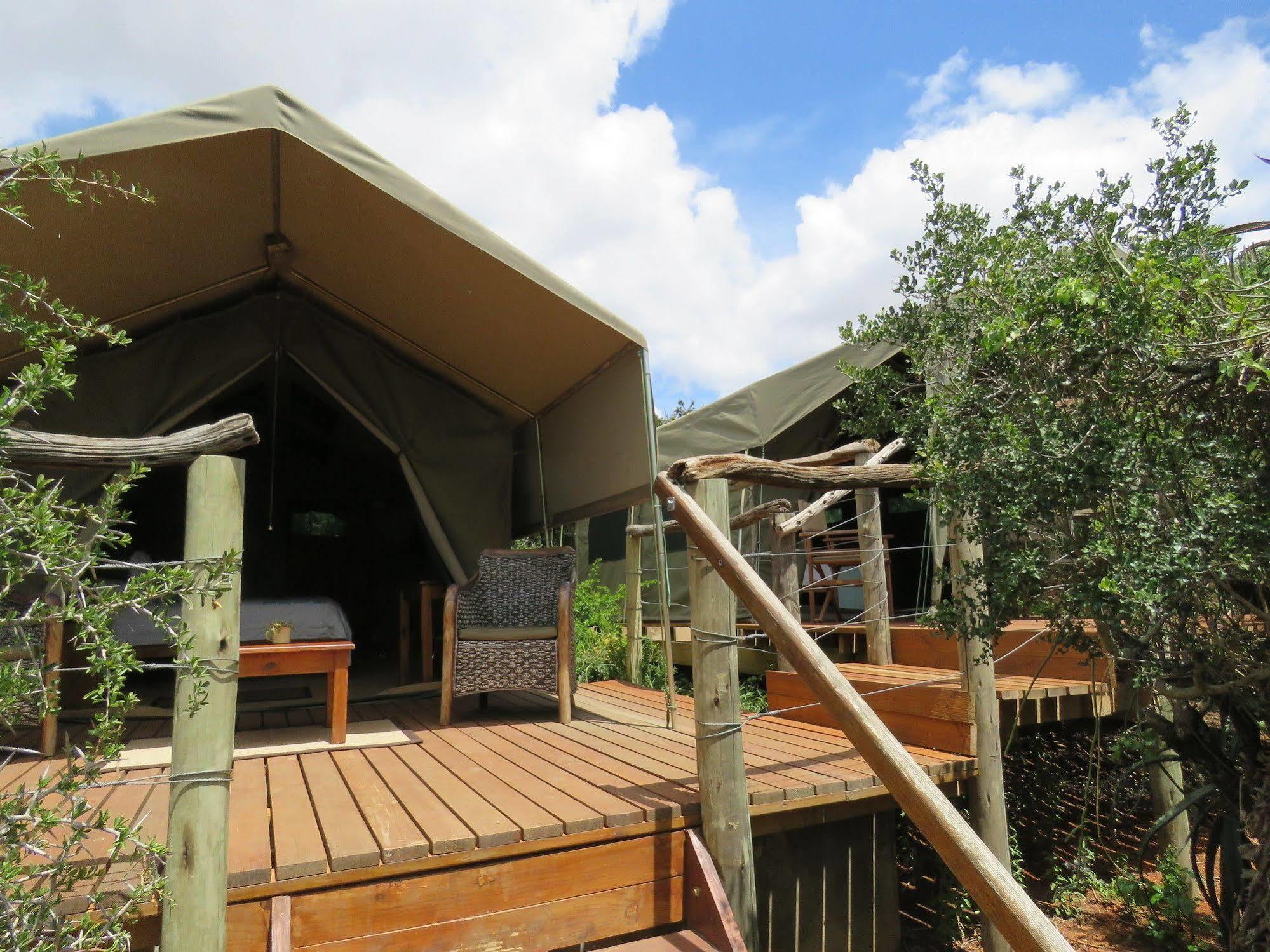 Woodbury Tented Camp - שמורת הטבע אמקאלה מראה חיצוני תמונה