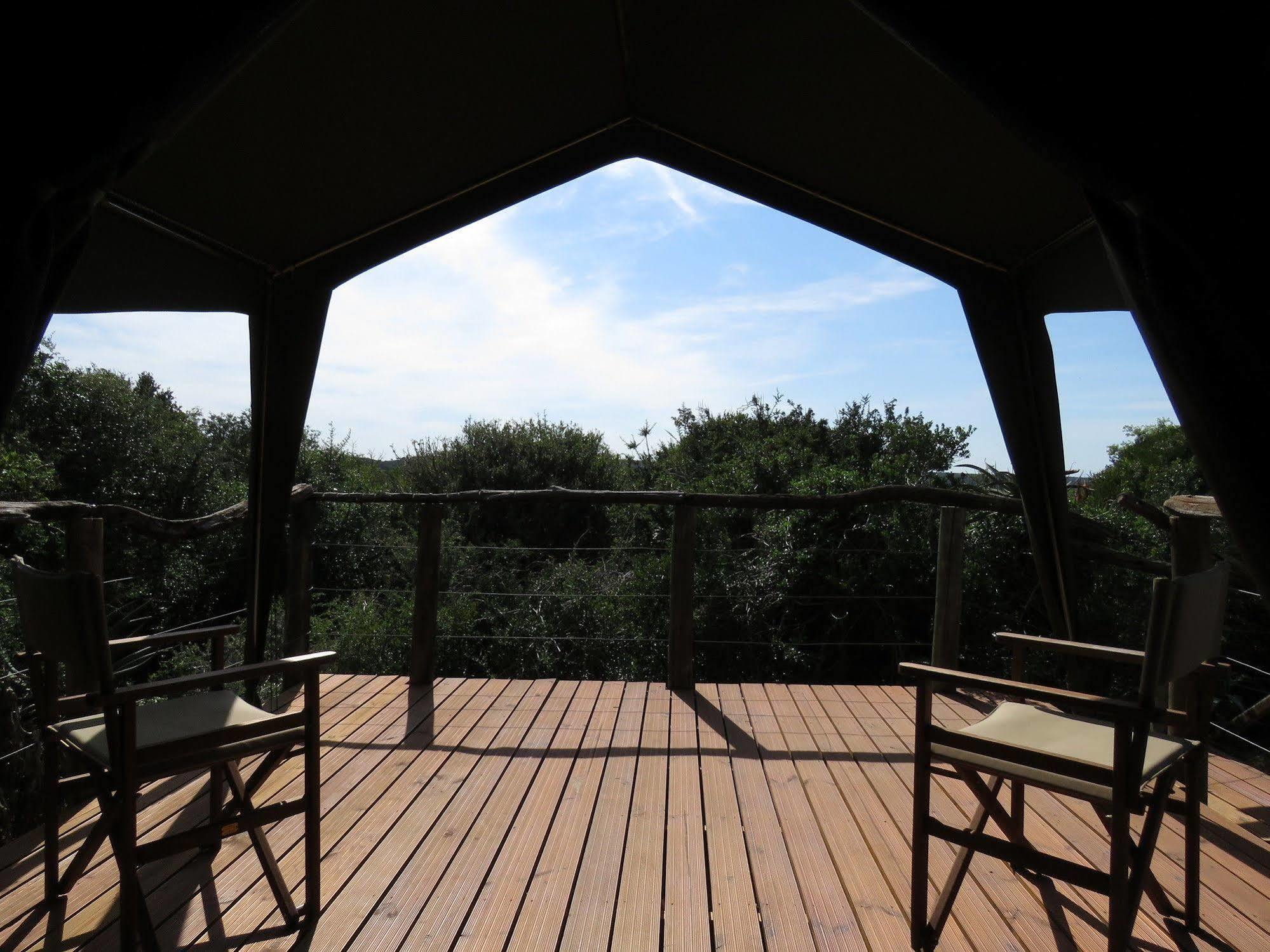 Woodbury Tented Camp - שמורת הטבע אמקאלה מראה חיצוני תמונה