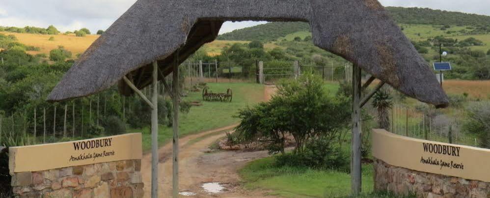 Woodbury Tented Camp - שמורת הטבע אמקאלה מראה חיצוני תמונה