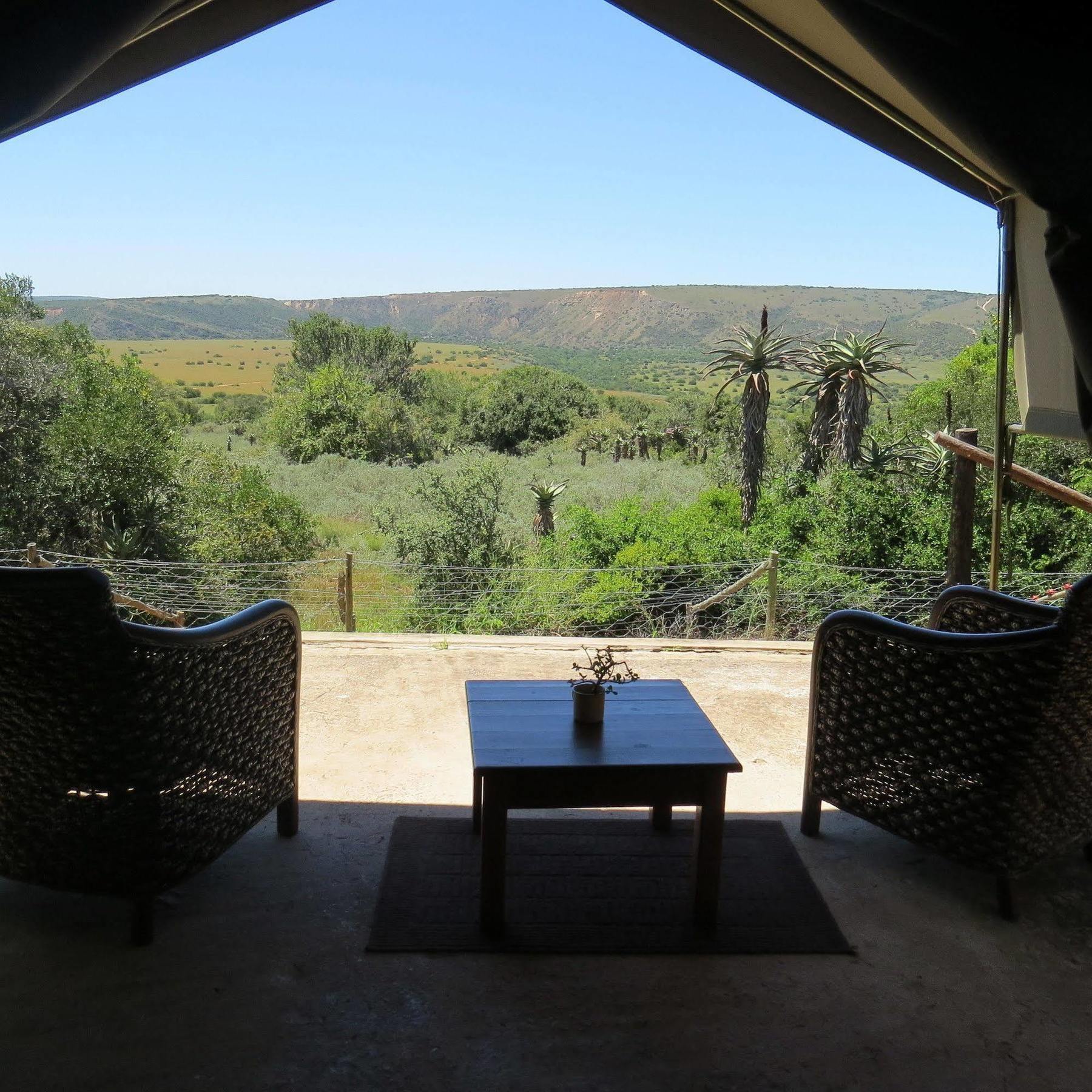 Woodbury Tented Camp - שמורת הטבע אמקאלה מראה חיצוני תמונה