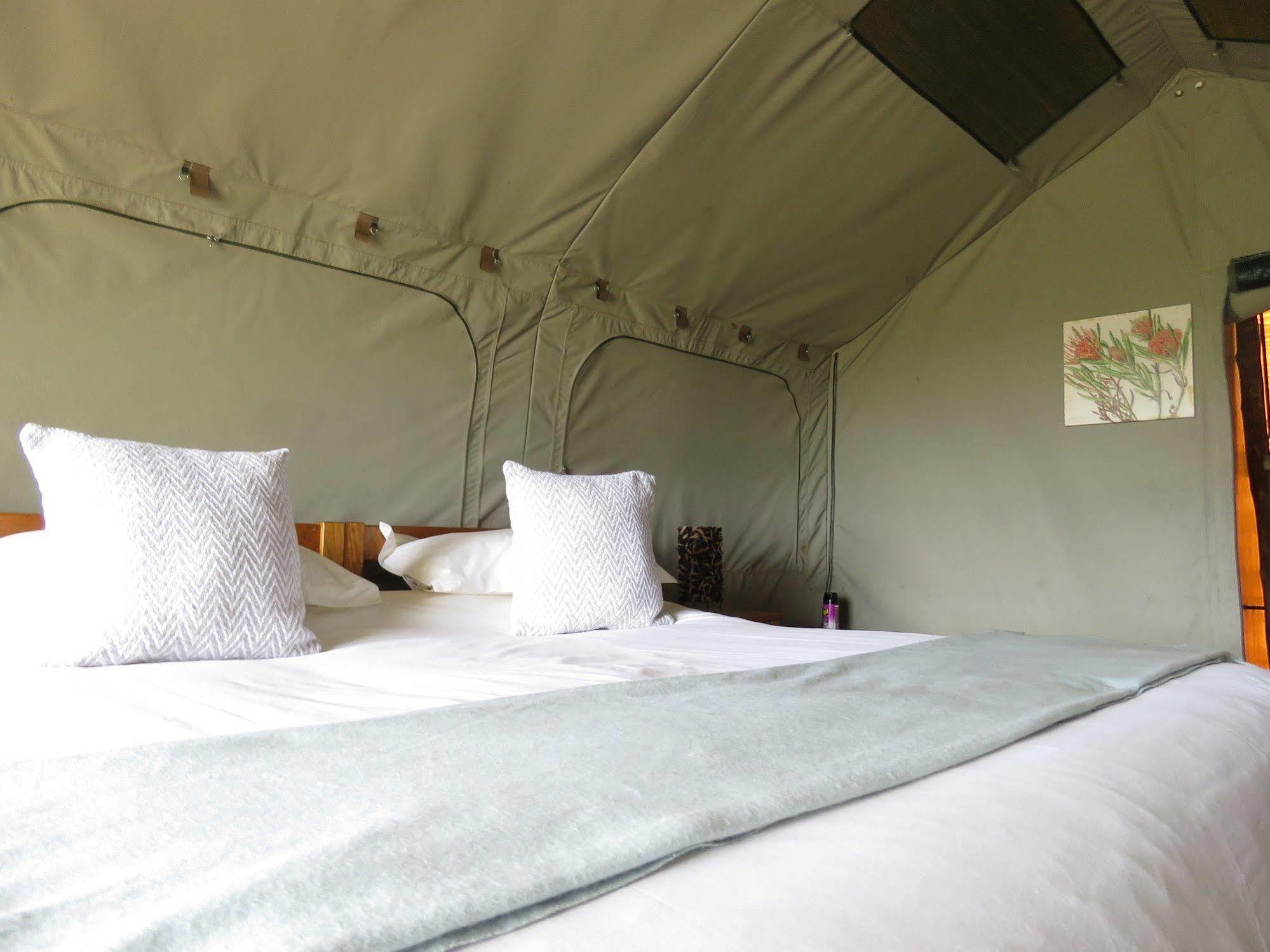 Woodbury Tented Camp - שמורת הטבע אמקאלה מראה חיצוני תמונה