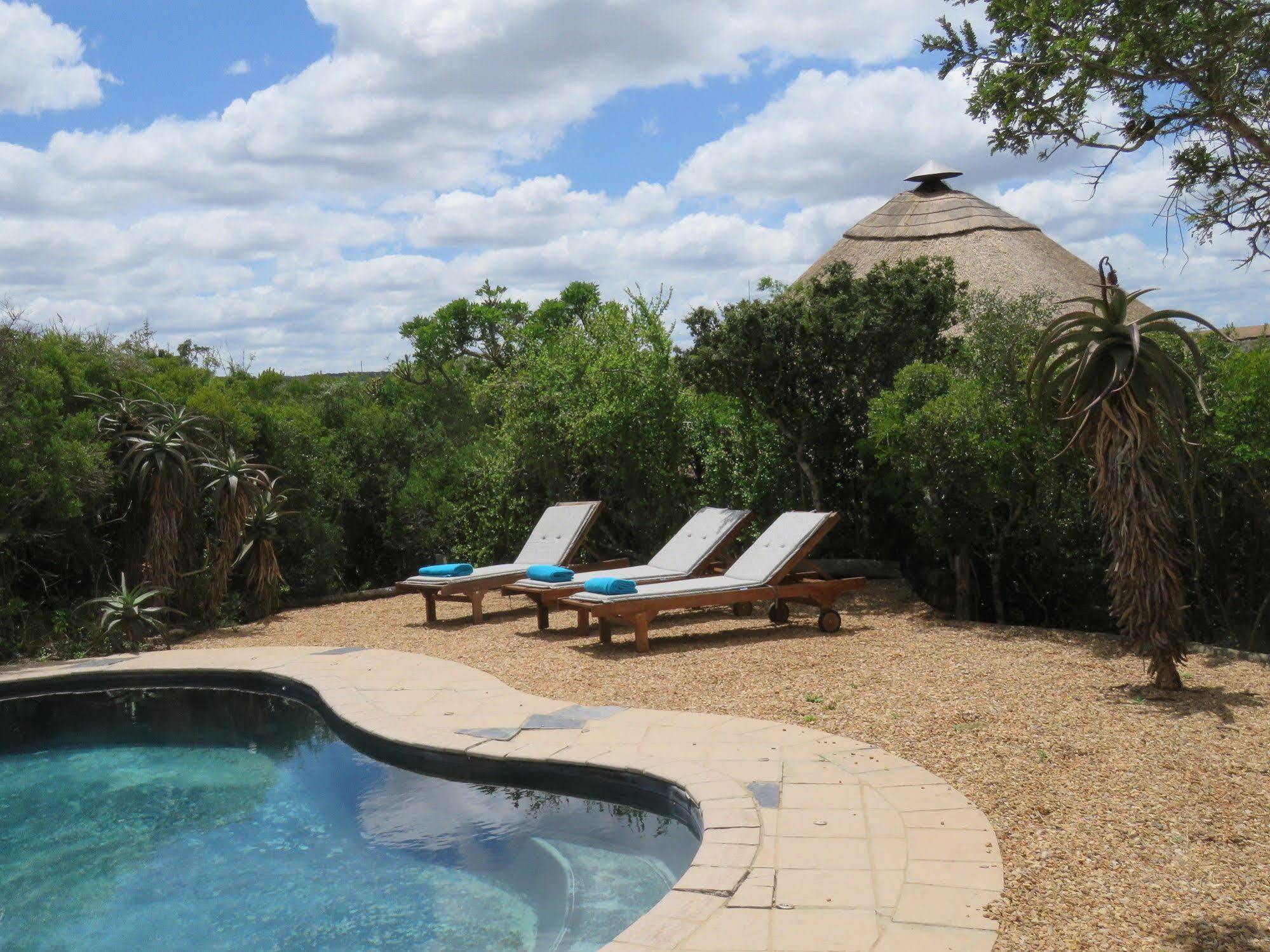 Woodbury Tented Camp - שמורת הטבע אמקאלה מראה חיצוני תמונה