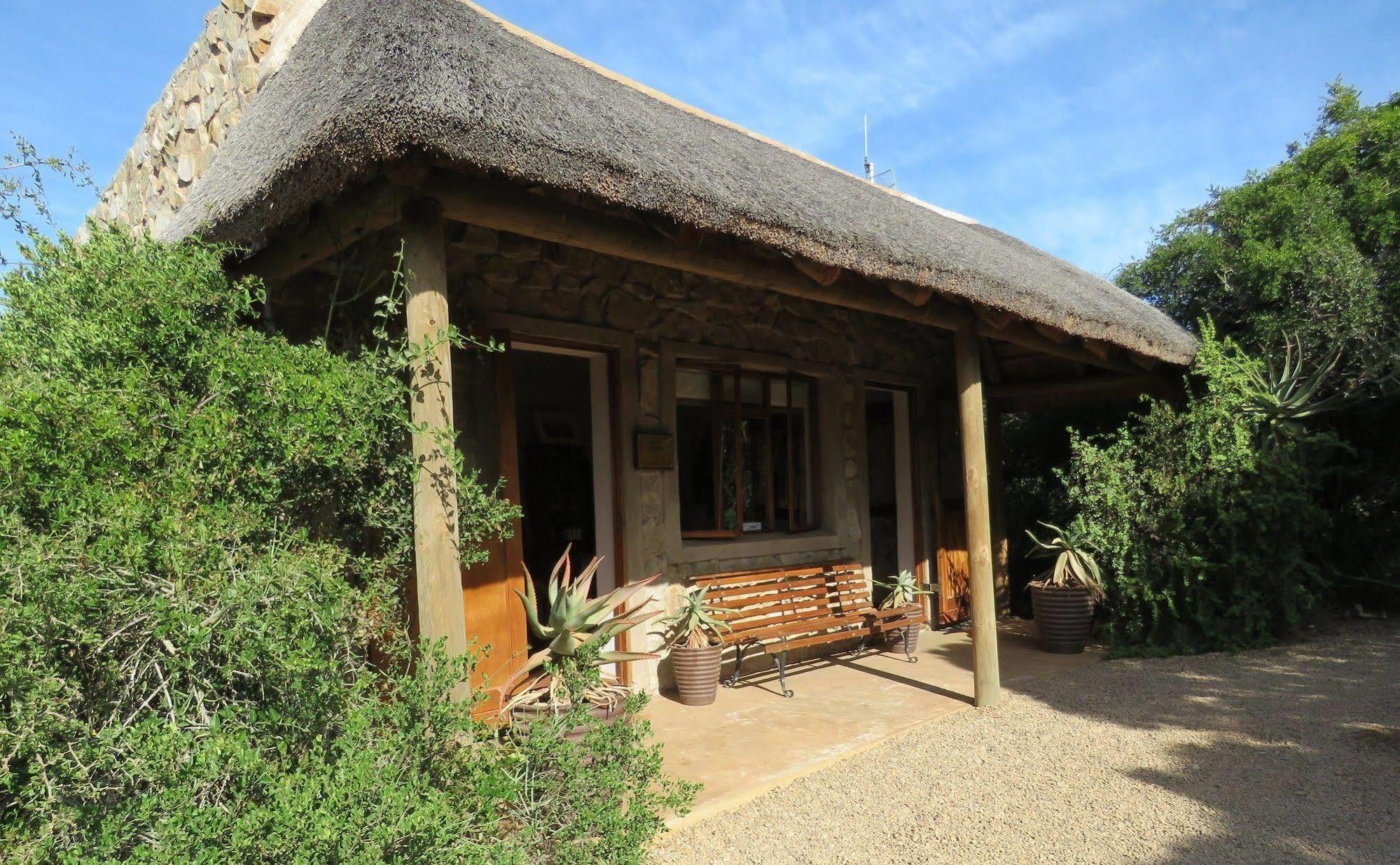 Woodbury Tented Camp - שמורת הטבע אמקאלה מראה חיצוני תמונה