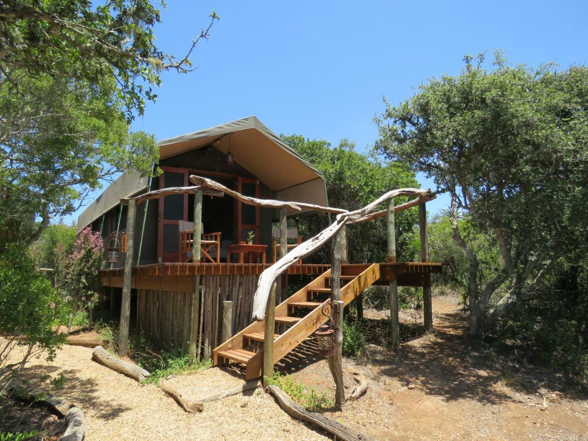 Woodbury Tented Camp - שמורת הטבע אמקאלה מראה חיצוני תמונה