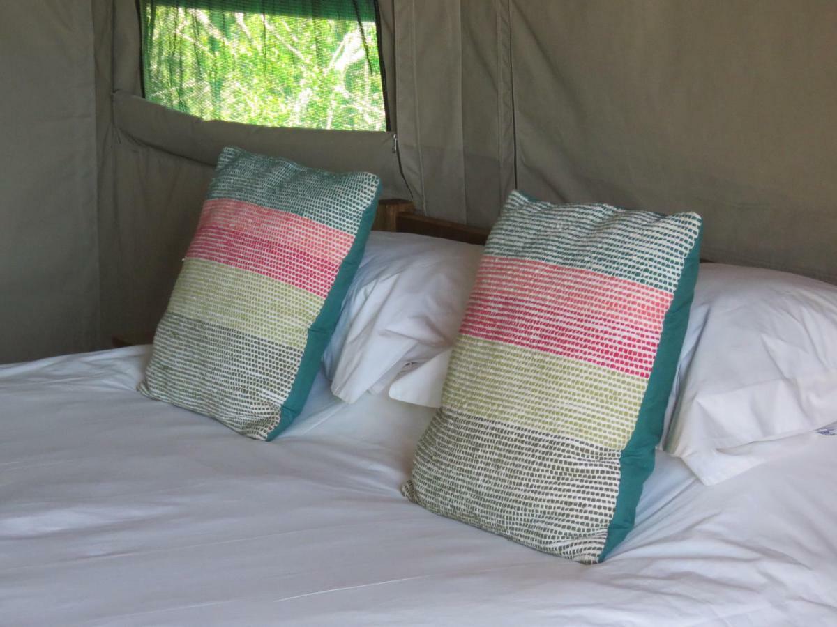 Woodbury Tented Camp - שמורת הטבע אמקאלה מראה חיצוני תמונה